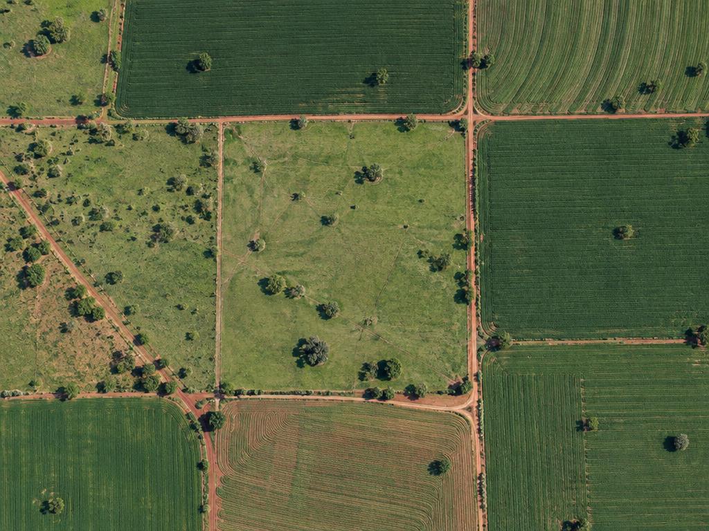 Mapeamento Aéreo com Drone realizado pela AGROENG